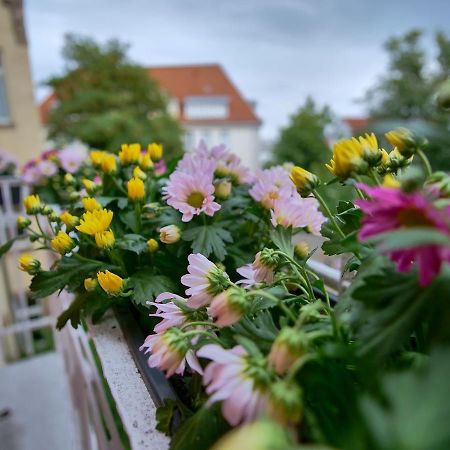 Appartement Otto I - Erfurt Zentrum Zewnętrze zdjęcie